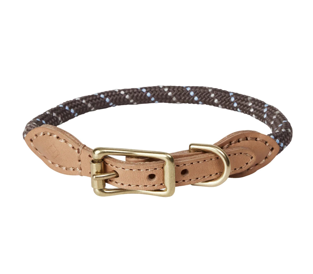 Perry Dog Collar Large