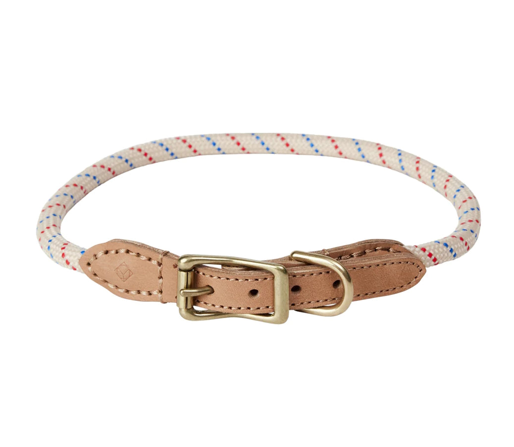 Perry Dog Collar Large