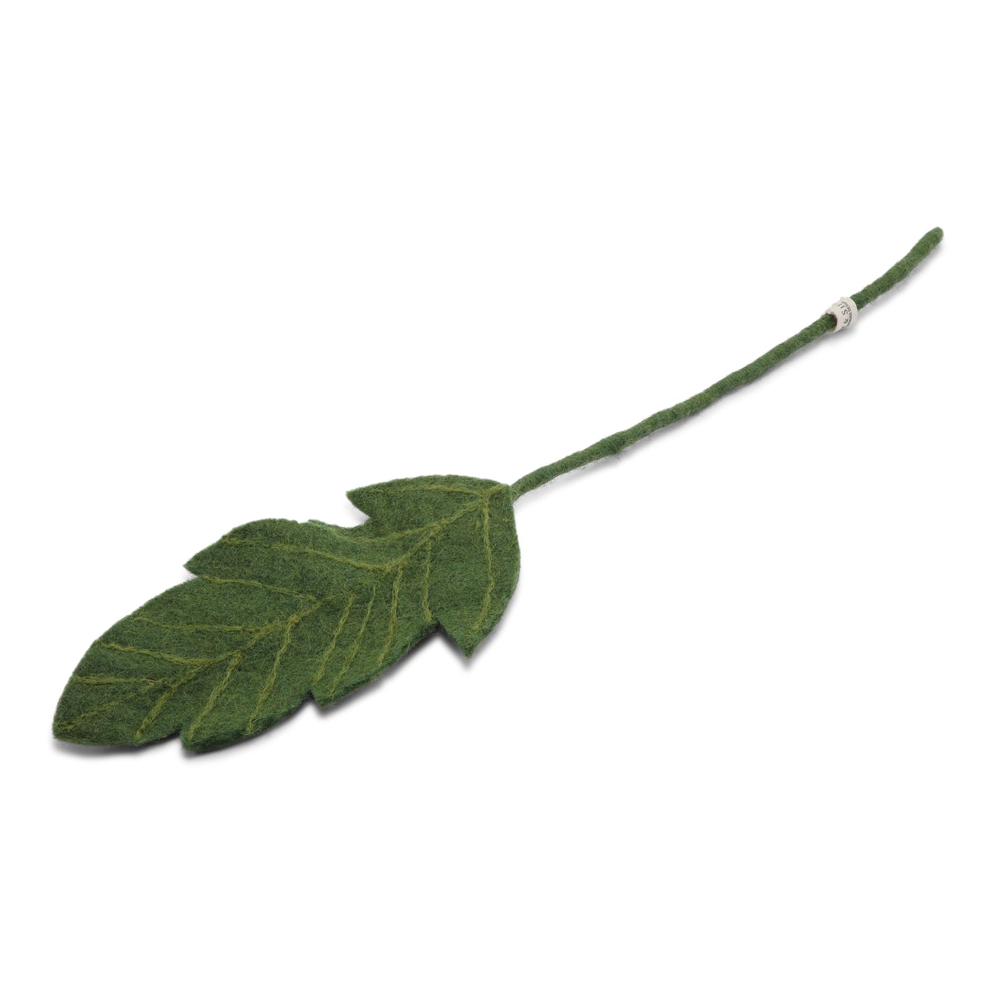 Leaf Big dark green
