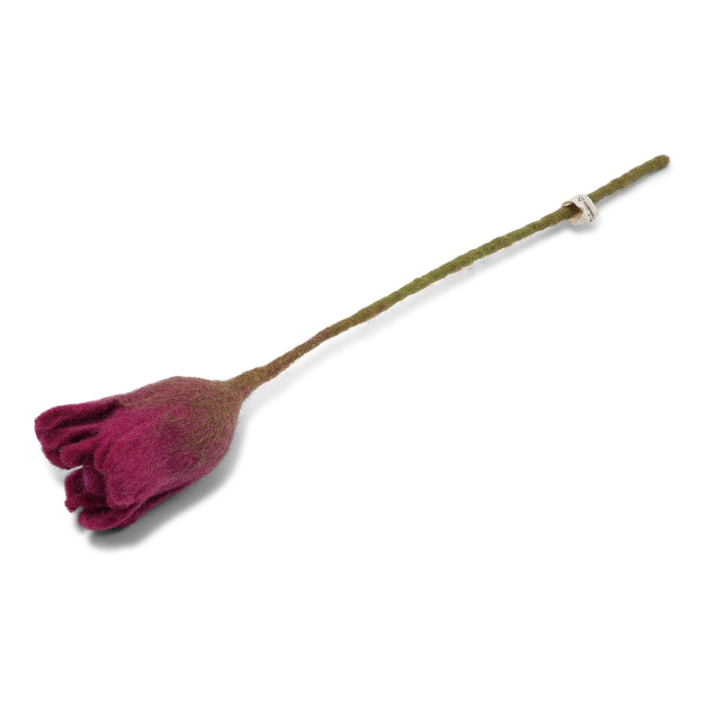 Tulip Cerise