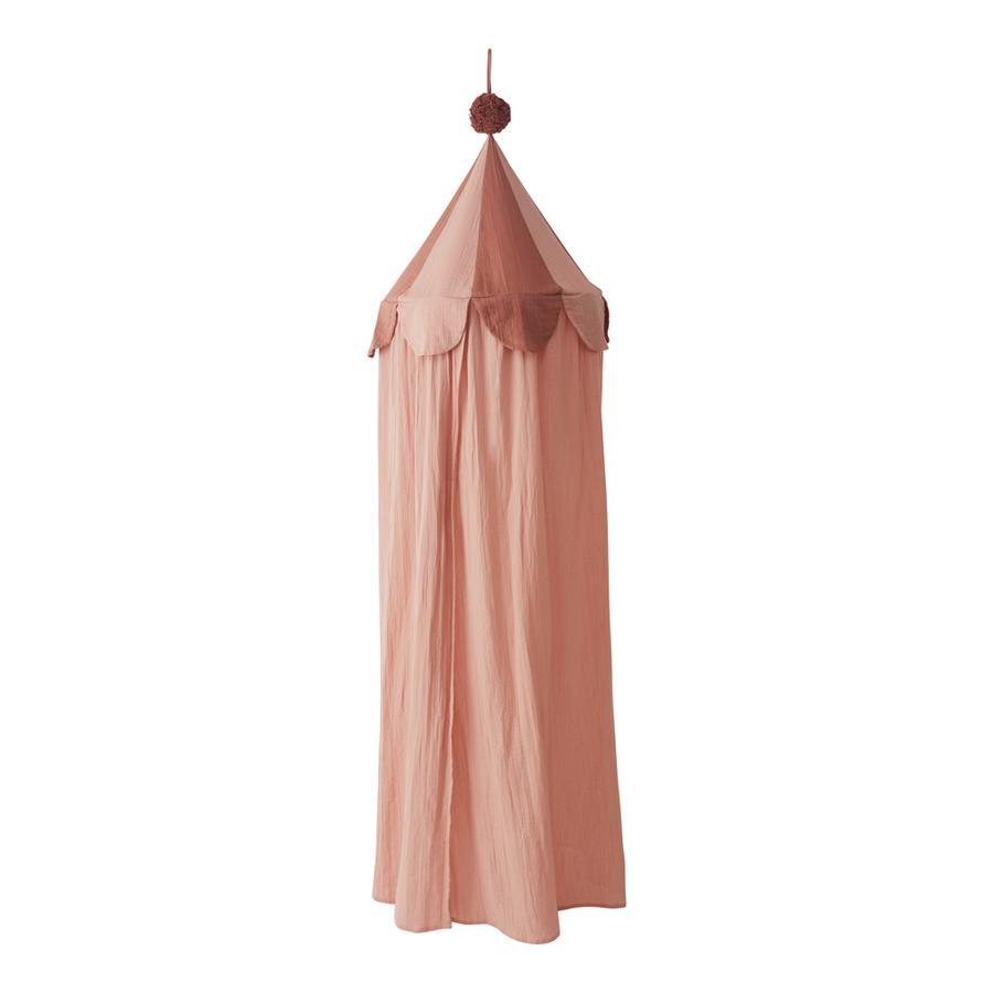 Ronja Canopy Rose