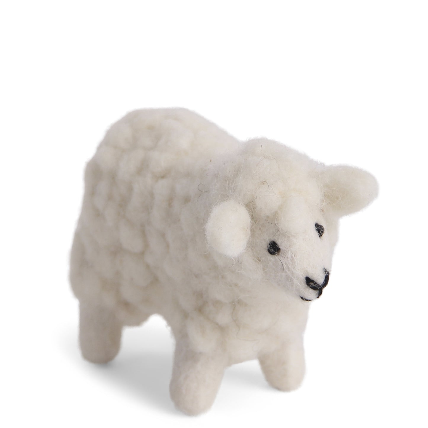 Sheep Fluffy White