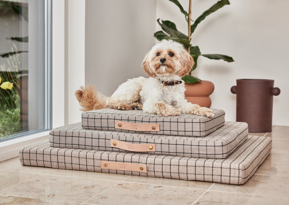 Milo Grid Dog Cushion Small