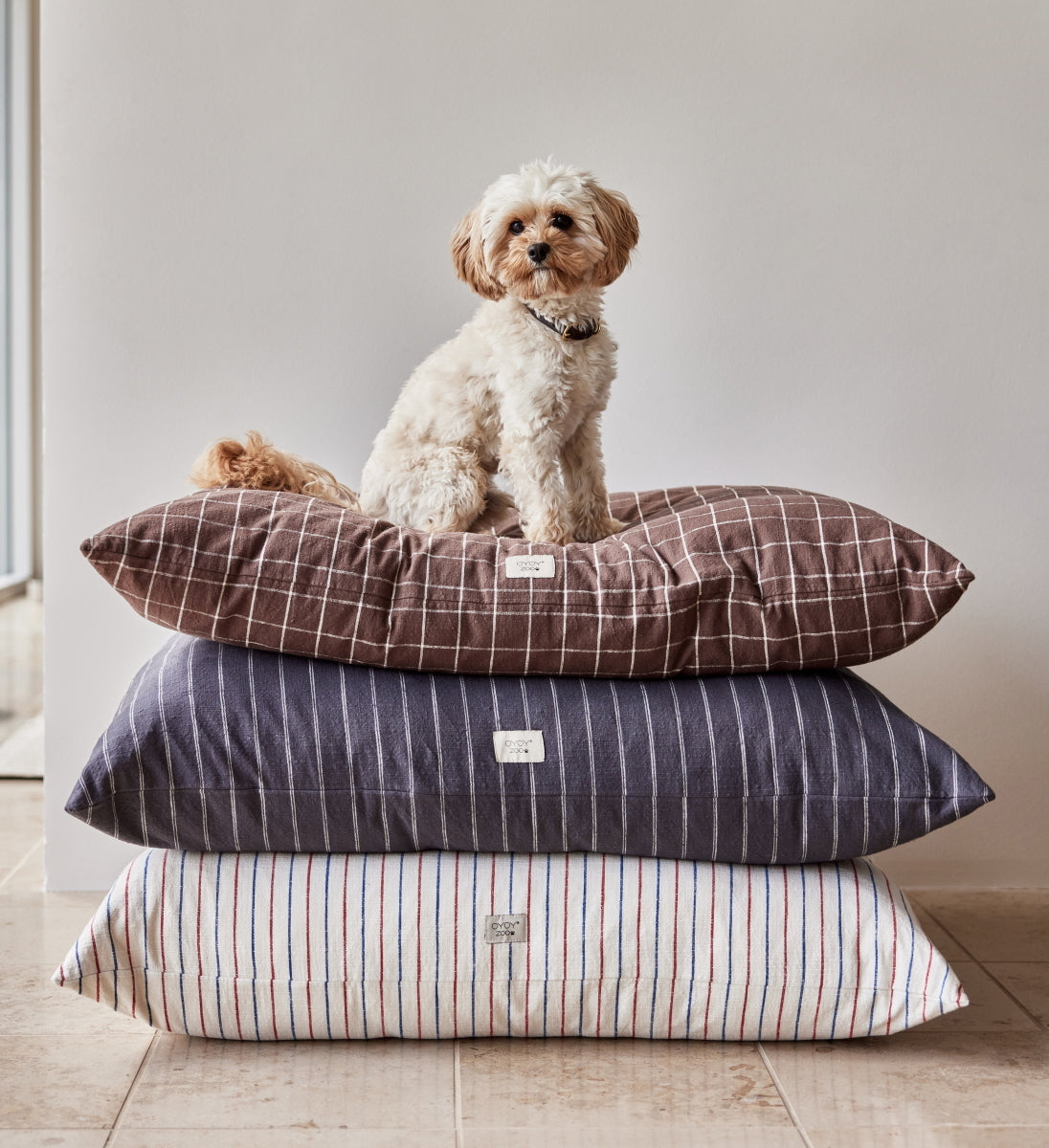 Grey dog outlet pillow